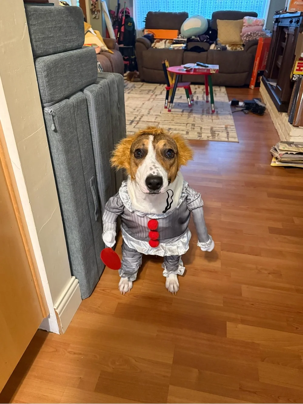 Spirit it costume
